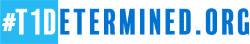 t1det-full-logo-250x44-72dpi