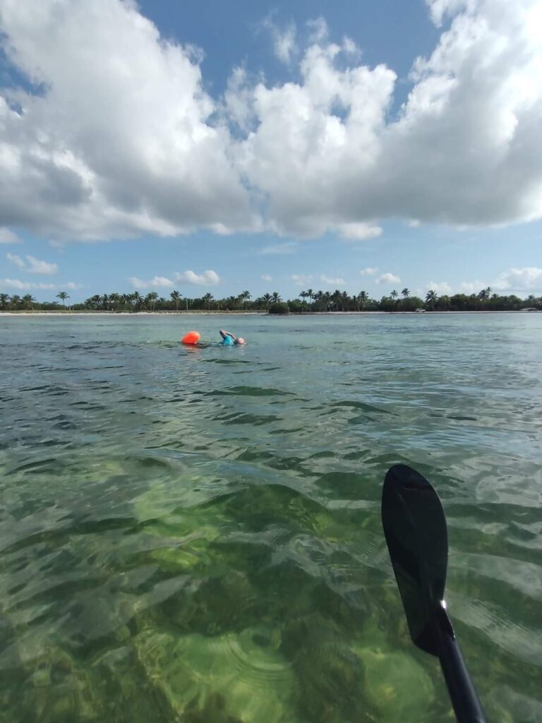 Don swimming